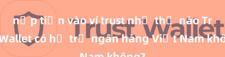 nạp tiền vào ví trust như thế nào Trust Wallet có hỗ trợ ngân hàng Việt Nam không?